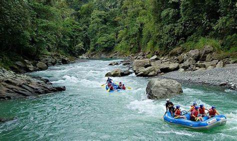 toucan tours nz