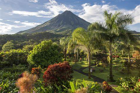 toucan tours nz